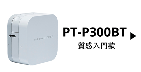 pt-p300bt