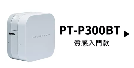 pt-p300bt